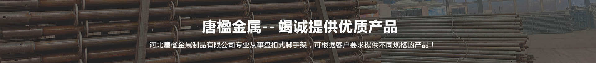 ����ݔ�͙C